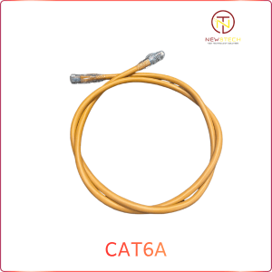 Cáp mạng Cat6A bắm 2 đầu