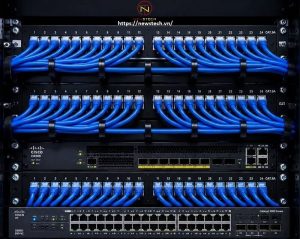 Thi công mạng Lan Quận 10